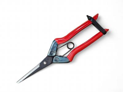 Ножиці для збору врожаю 195 мм, леза 55 мм вуглецева сталь, CHIKAMASA T-570